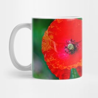 We Shall Remember Mug